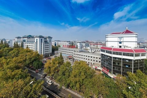 襄阳市中心医院携手执子星心理量表评估软件共建基层心理健康服务体系